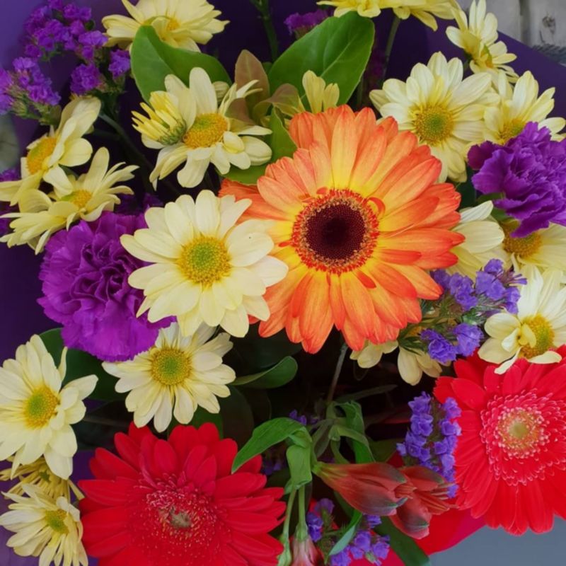 Weekly Special - Test - Cairns Florist